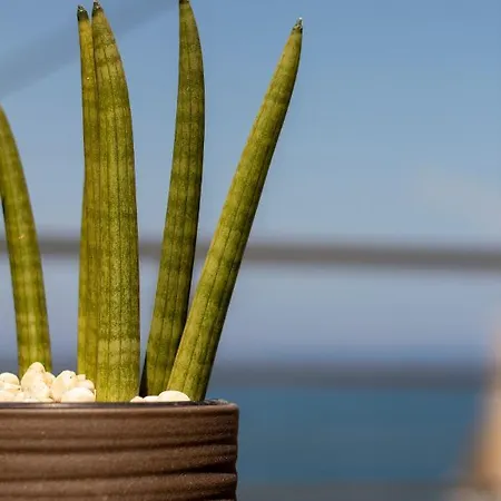 Tabak Home Sea Side Apartment Chania  Buitenkant foto